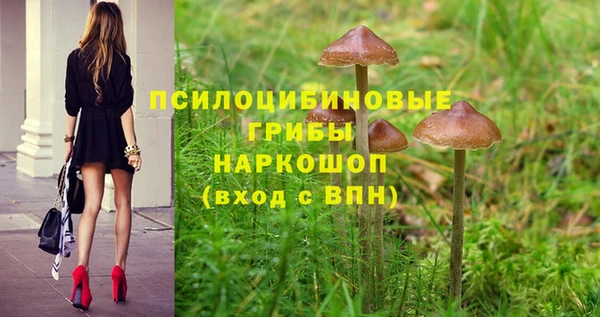 спиды Алексеевка