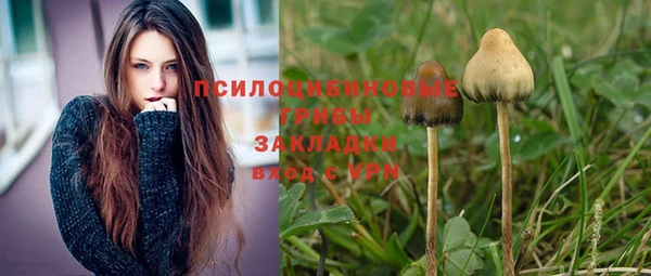мет Алзамай