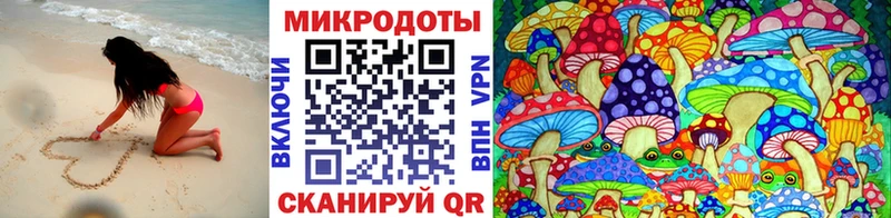 купить наркоту  Стародуб  Галлюциногенные грибы Psilocybine cubensis 